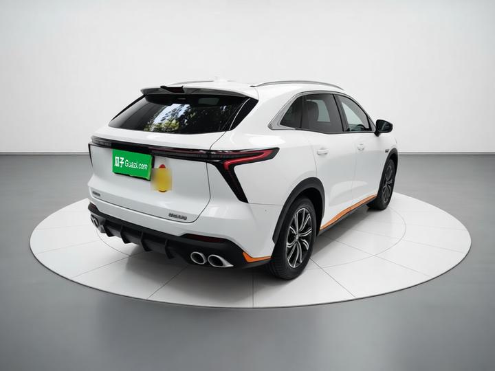 Cowin 2023款 昆仑 300 高原版 photo 6