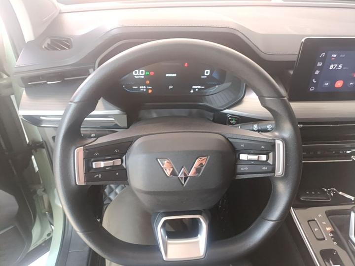 Wuling 2022 2.0L DHT photo 6