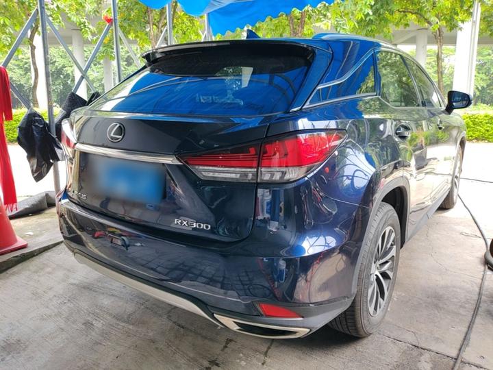 RX 2020 Facelift 300 RWD Elite photo 6