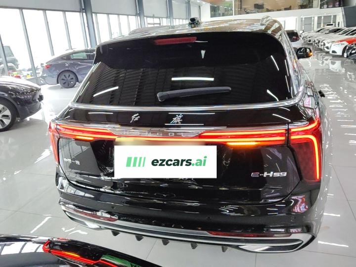 E-HS9 2021 460km 6-Seater photo 3