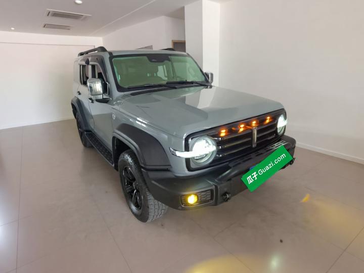 300 2021 Off-road 2.0T Conqueror photo 3