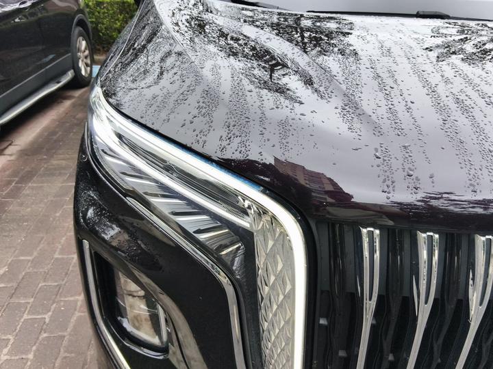HQ9 PHEV 2024 2.0T AWD Luxury photo 7
