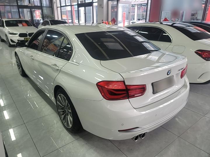 3 Series 2019 320Li Fashion photo 4