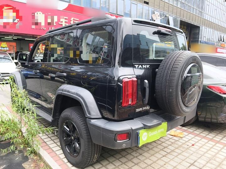 300 2021 Off-road 2.0T Conqueror photo 4