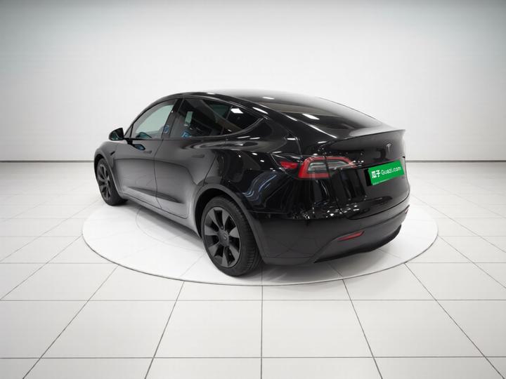 Model Y 2021 Long Range AWD 3D7 photo 4