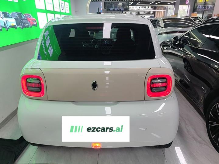 2021 351km Luxury photo 5