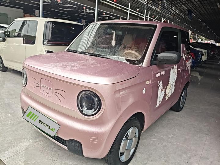 2023 Panda mini 200km Endurance Bear