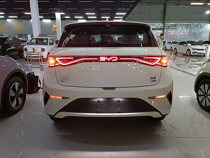 Dolphin 2025 ADAS 410km Fashion photo 5