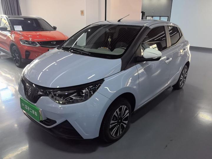 EV EV2 2024 201km Comfort