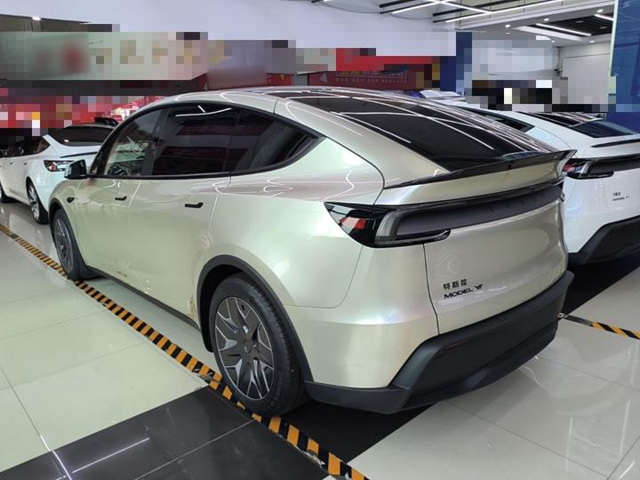 Model Y L 2025 Long Range AWD photo 4