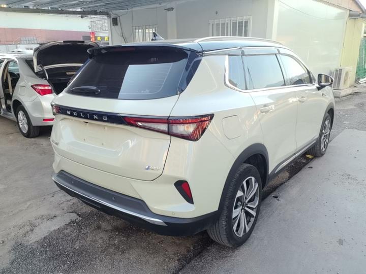 Wuling 2022 2.0L DHT photo 4