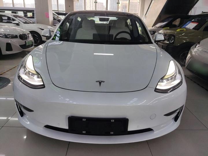 Model 3 2021 Performance AWD photo 2