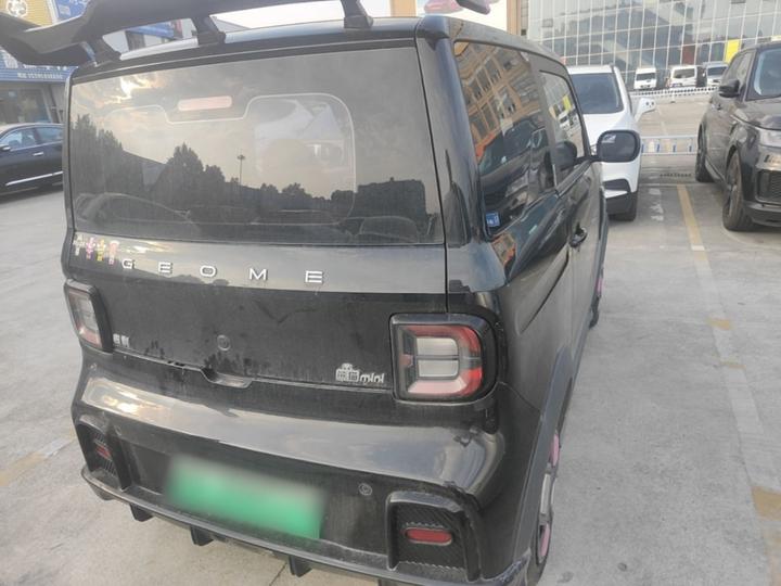 2024 200km Panda photo 6