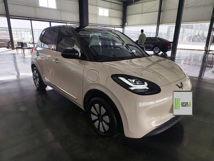 Wuling Bingo 2024 333km photo 3