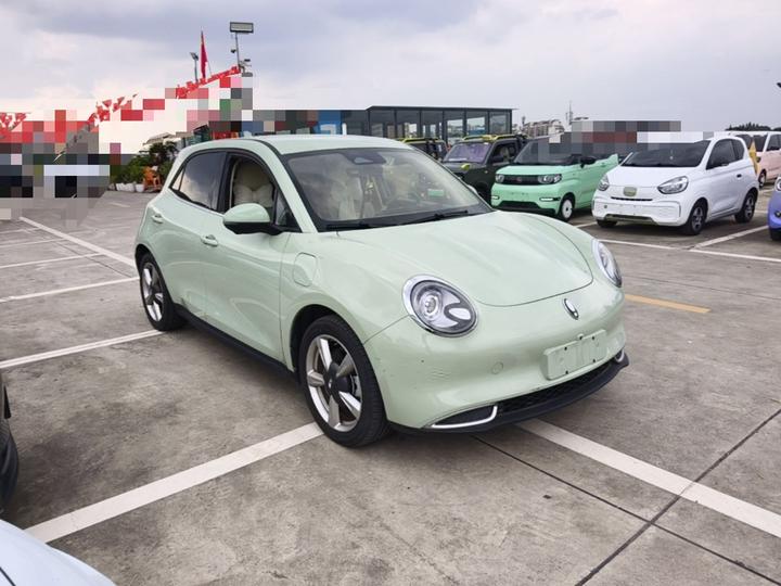 Good Cat 2023 401km Standard Range Luxury LFP photo 3