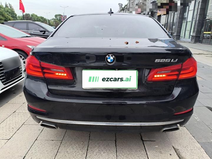 5 Series 2018 525Li Luxury photo 5