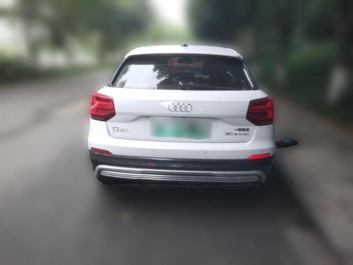 Q2L e-tron 2019 Q2L e-tron EV Smart photo 5