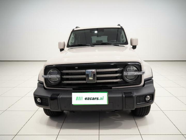 300 2024 2.0T photo 2