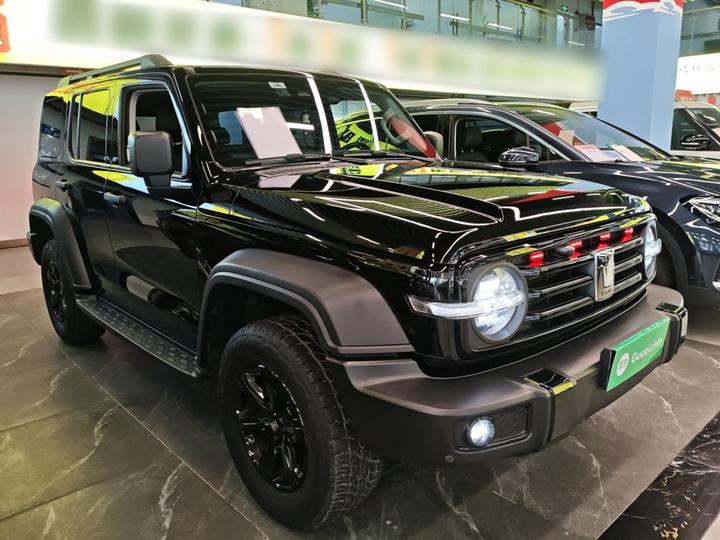 300 2023 Off-road 2.0T Conqueror photo 3