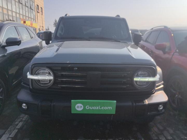 300 2021 Off-road 2.0T photo 2
