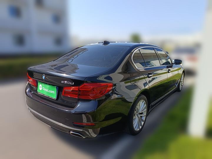 5 Series 2018 525Li Luxury photo 6