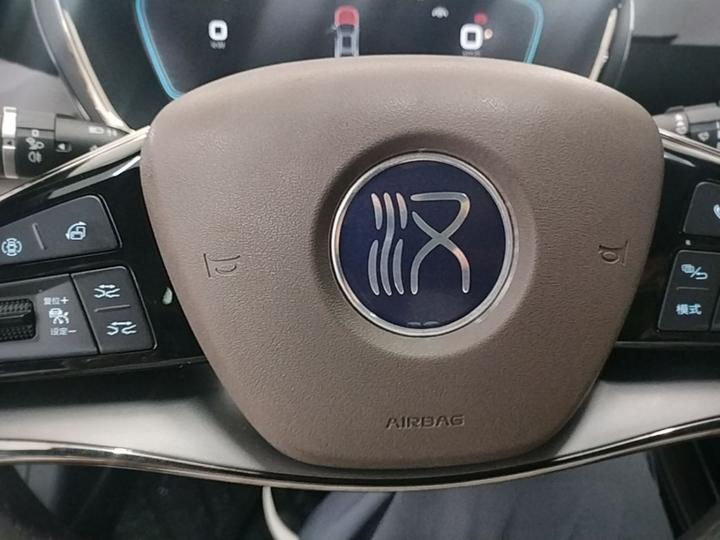 Han 2020 DM AWD Performance Luxury photo 8