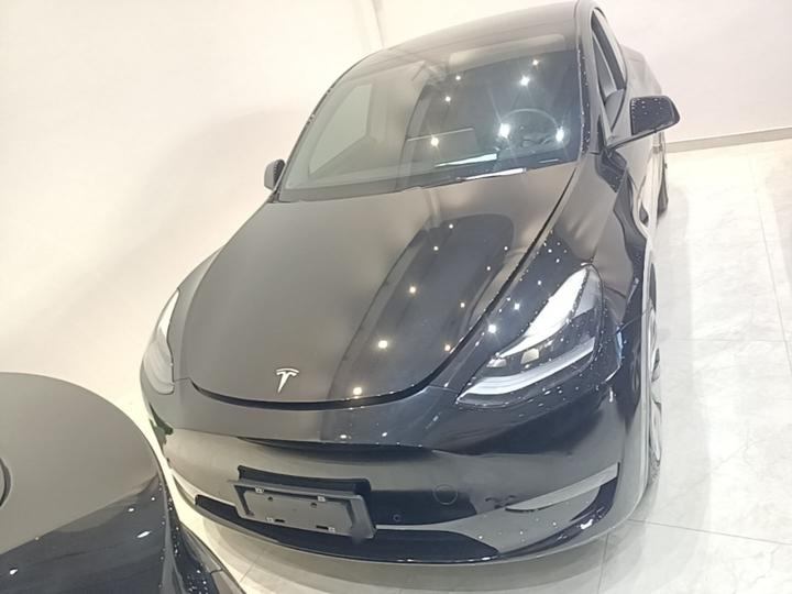 Model Y 2021 Long Range AWD photo 2
