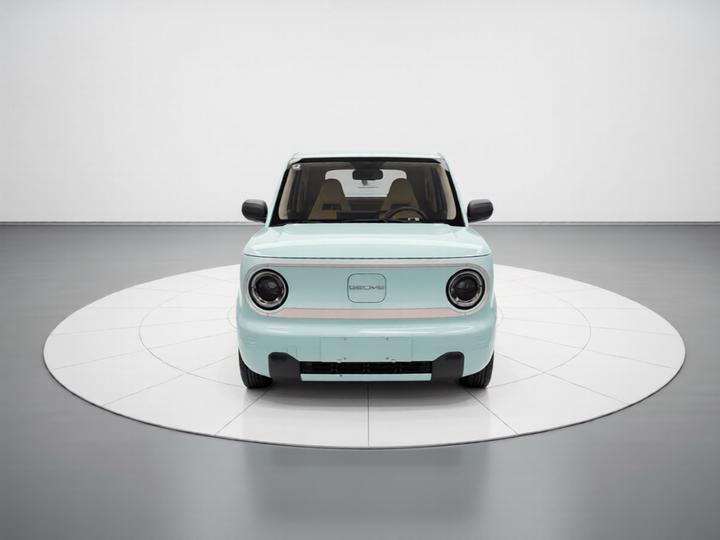 2024 Panda mini 200km Endurance Bear photo 2