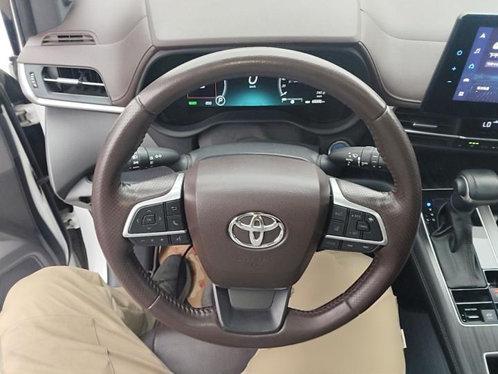 Sienna 2021 2.5L Hybrid Platinum photo 3