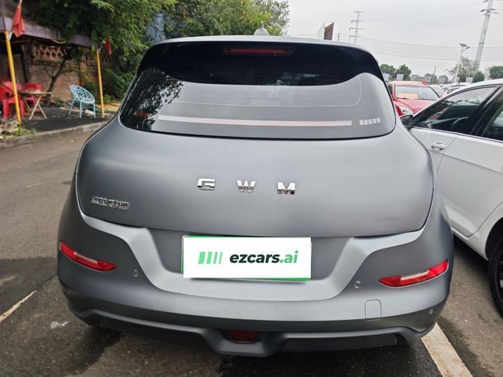 Good Cat 2025 430km Noble photo 5