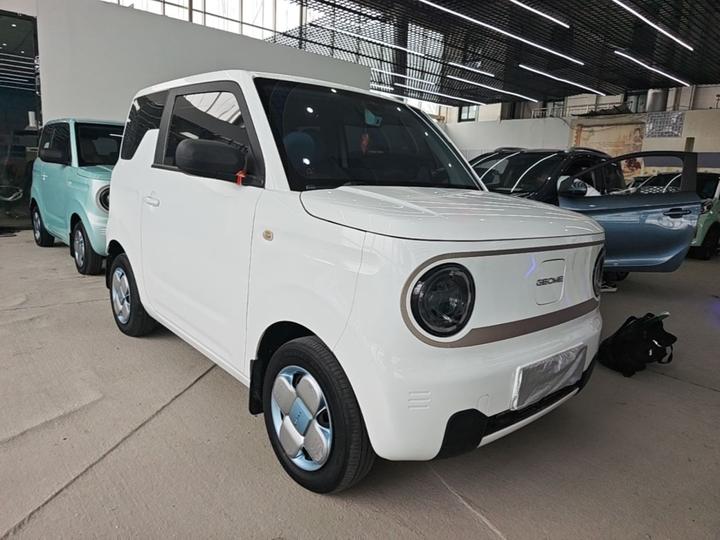 2023 Panda mini 200km Endurance Bear photo 3