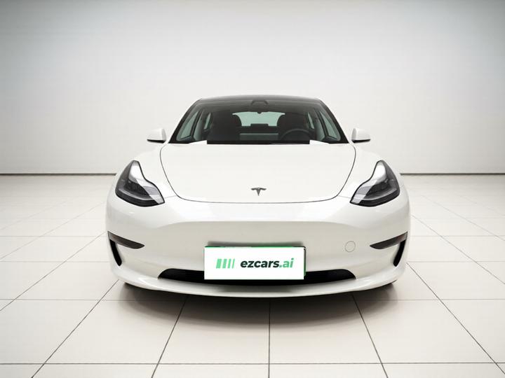 Model 3 2021 Performance AWD 3D6 photo 2