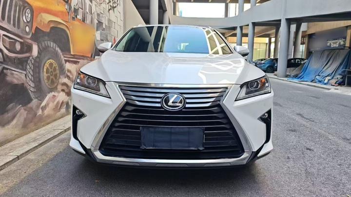 RX 2016 300 RWD Elite China V photo 2