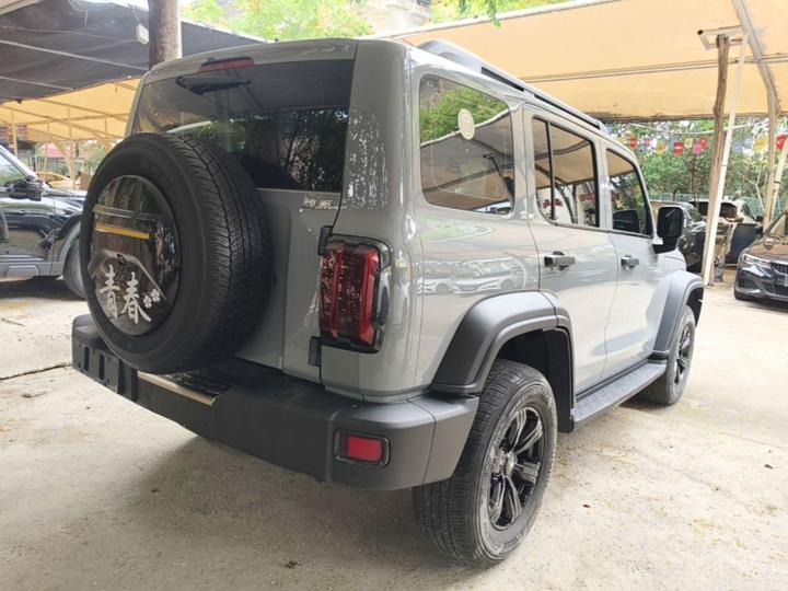 300 2021 Off-road 2.0T Conqueror photo 4
