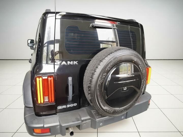 300 2021 Off-road 2.0T Conqueror photo 3