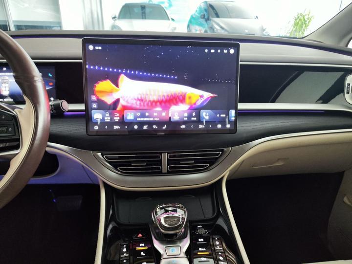 D9 2024 DM-i 980 AWD Noble photo 8