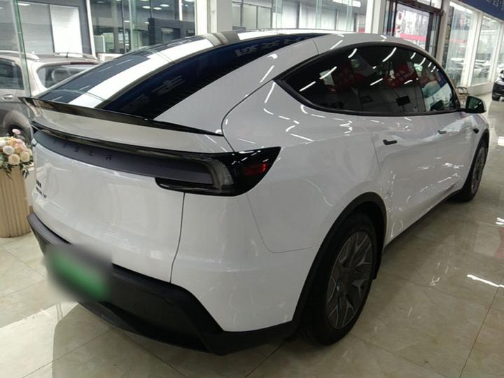 Model Y L 2025 Long Range AWD photo 6