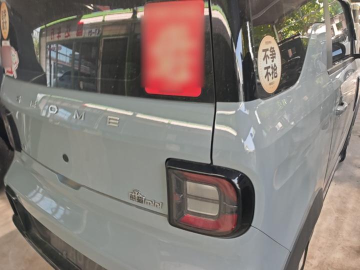 2025 210km Panda photo 7