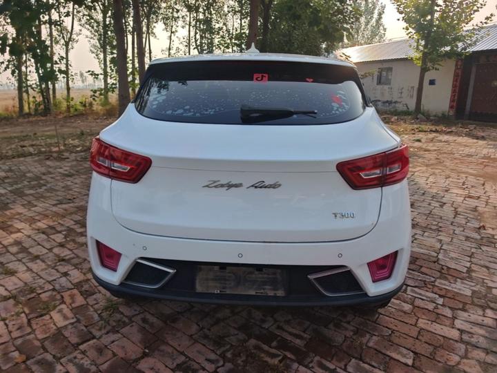 T300 2017 1.5L MT Luxury photo 5