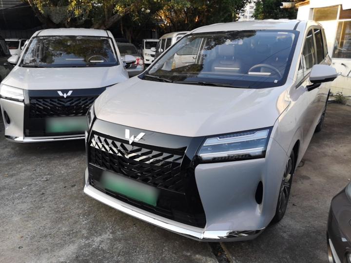 730 EV 2025 125km Luxury