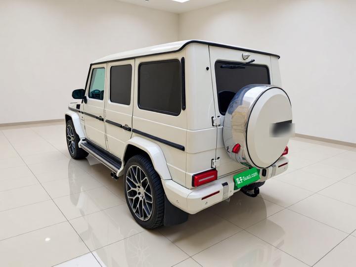 G-Class 2010 G 500 photo 4