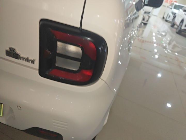 2023 Panda mini 200km Endurance Bear photo 7