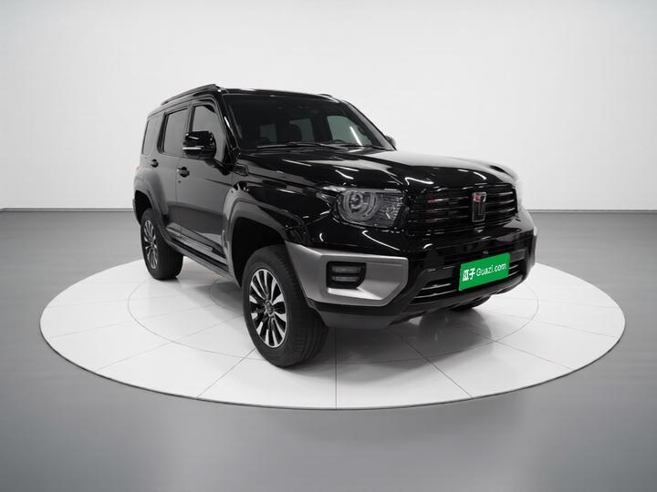 700 EV 2024 Hi4-T photo 3