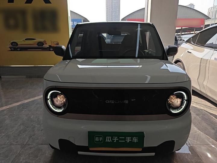 2023 Panda mini photo 2