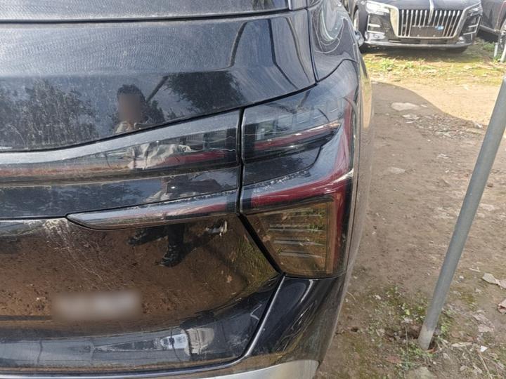 HS3 PHEV 2025 117km photo 7