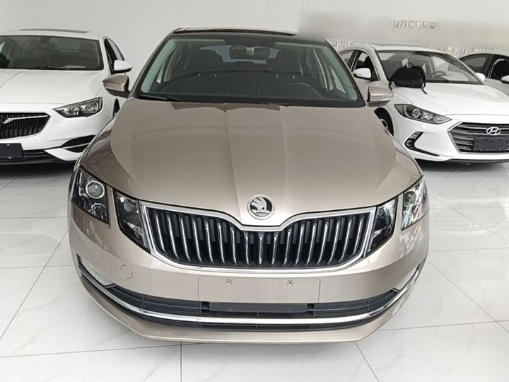 Octavia 2018 TSI230 DSG Luxury photo 2