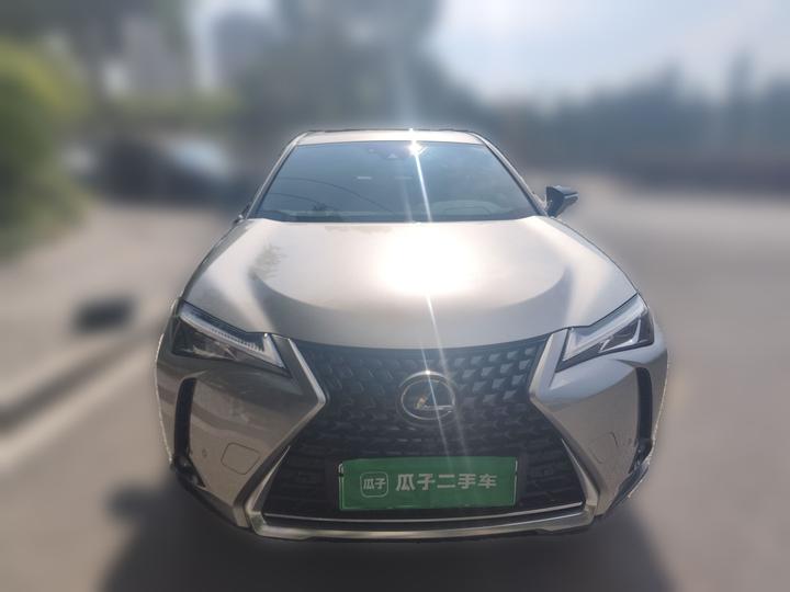 UX EV 2020 300e photo 2
