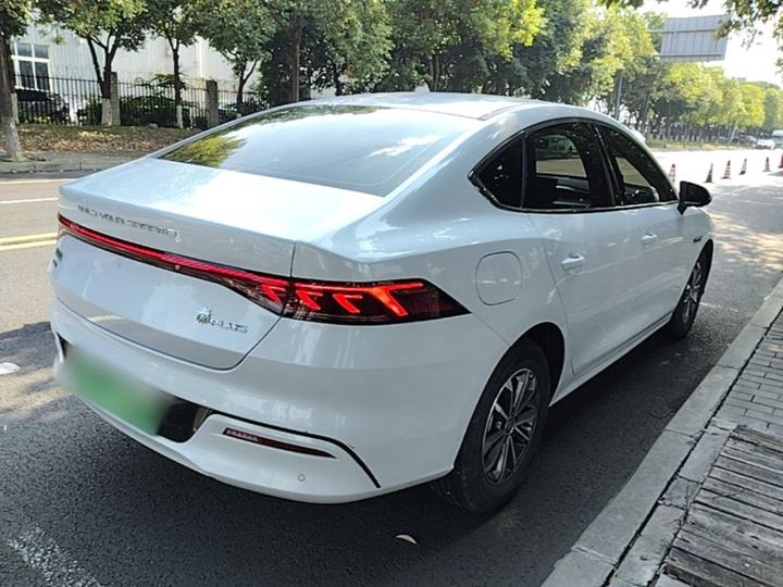 Qin PLUS 2024 Honor DM-i 55KM Leading photo 6