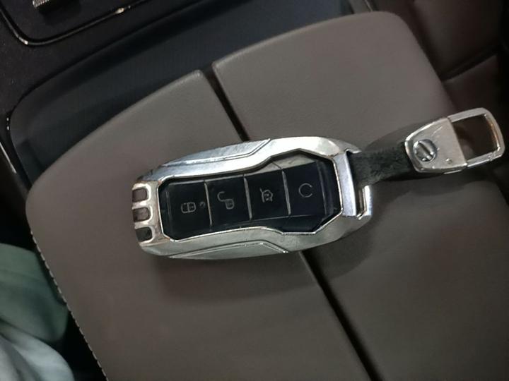 Han 2020 EV Extended Range Luxury photo 8