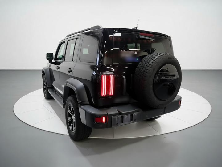 300 2021 Off-road 2.0T photo 4